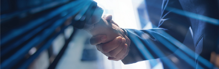 その他の移転価格関連のご支援